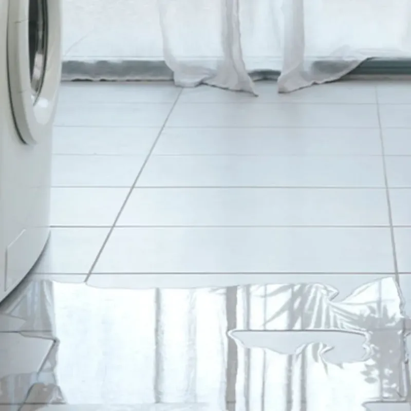 Appliance Leak Cleanup in Beecher, MI