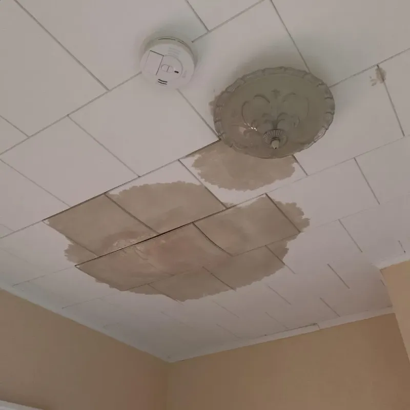 Ceiling Water Damage Repair in Beecher, MI