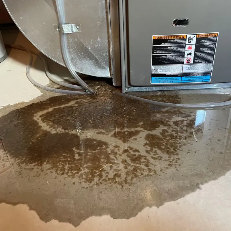 Pipe Burst and Leak Restoration in Beecher, MI