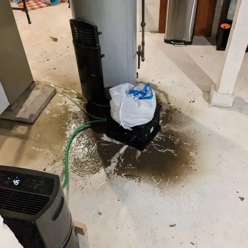 Sewage Backup Cleanup Service in Beecher, MI